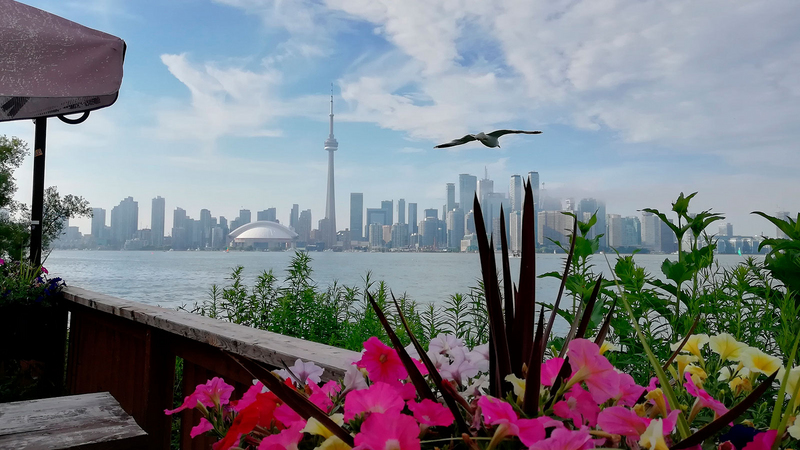 auslandsaufenthalt-toronto-kanada-wirtschaftsingenieurwesen