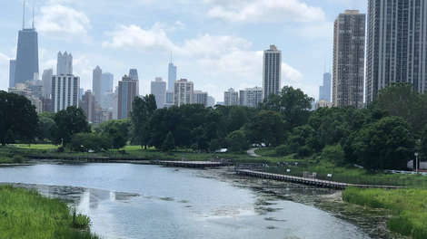 USA: Auslandsaufenthalt bei den amerikanischen Kollegen