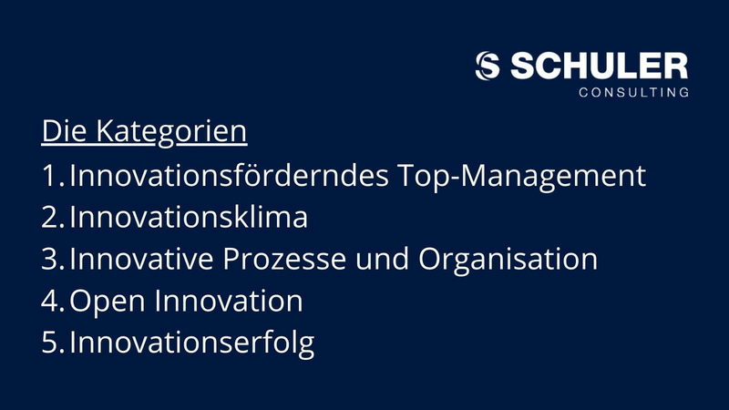 Innovationsforscher Prof. Dr. Nikolaus Franke und sein Team prüften die Innovationskraft von SCHULER Consulting. 