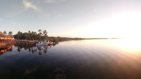 Auslandsaufenthalt in Grand Rapids, USA